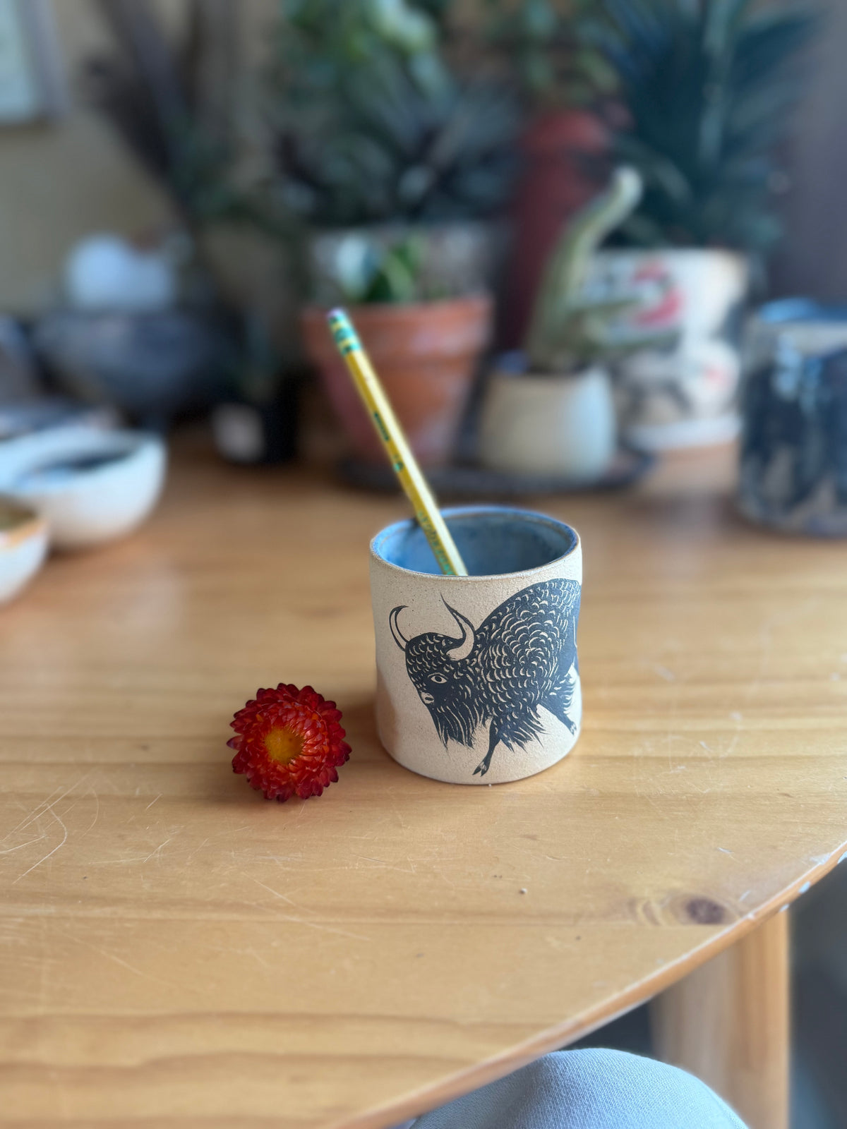 Little bison cup