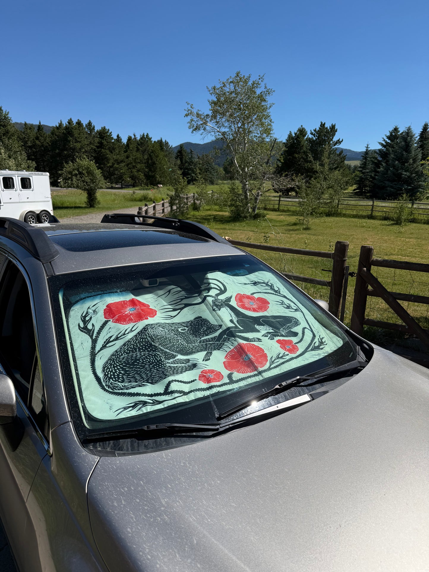 Car windshield sunshade