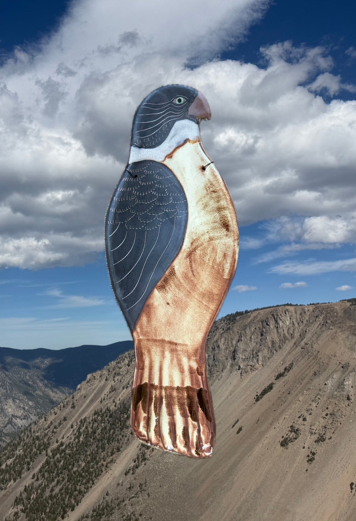 Guardian Hawk