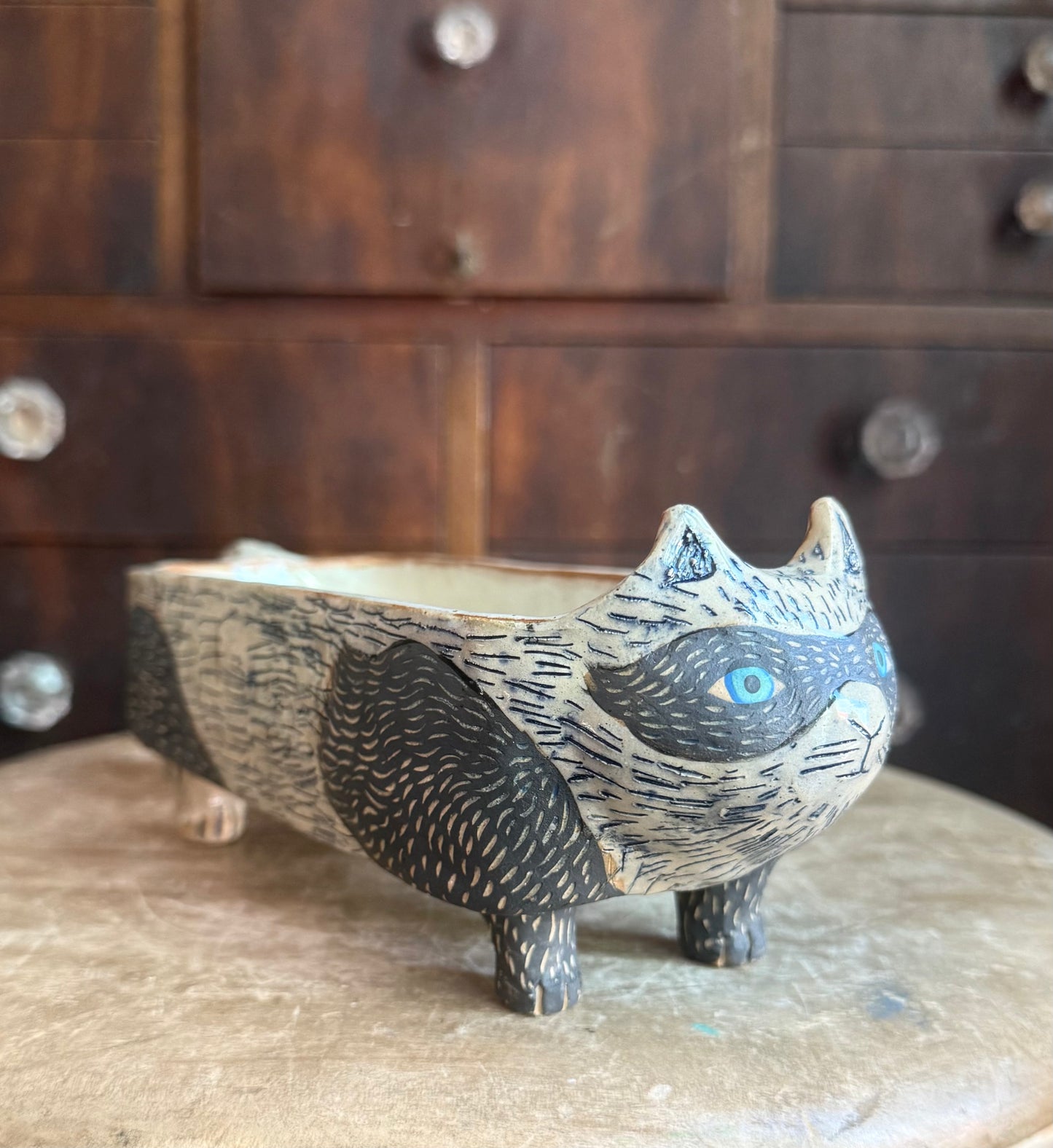 Bandit cat tea bag display