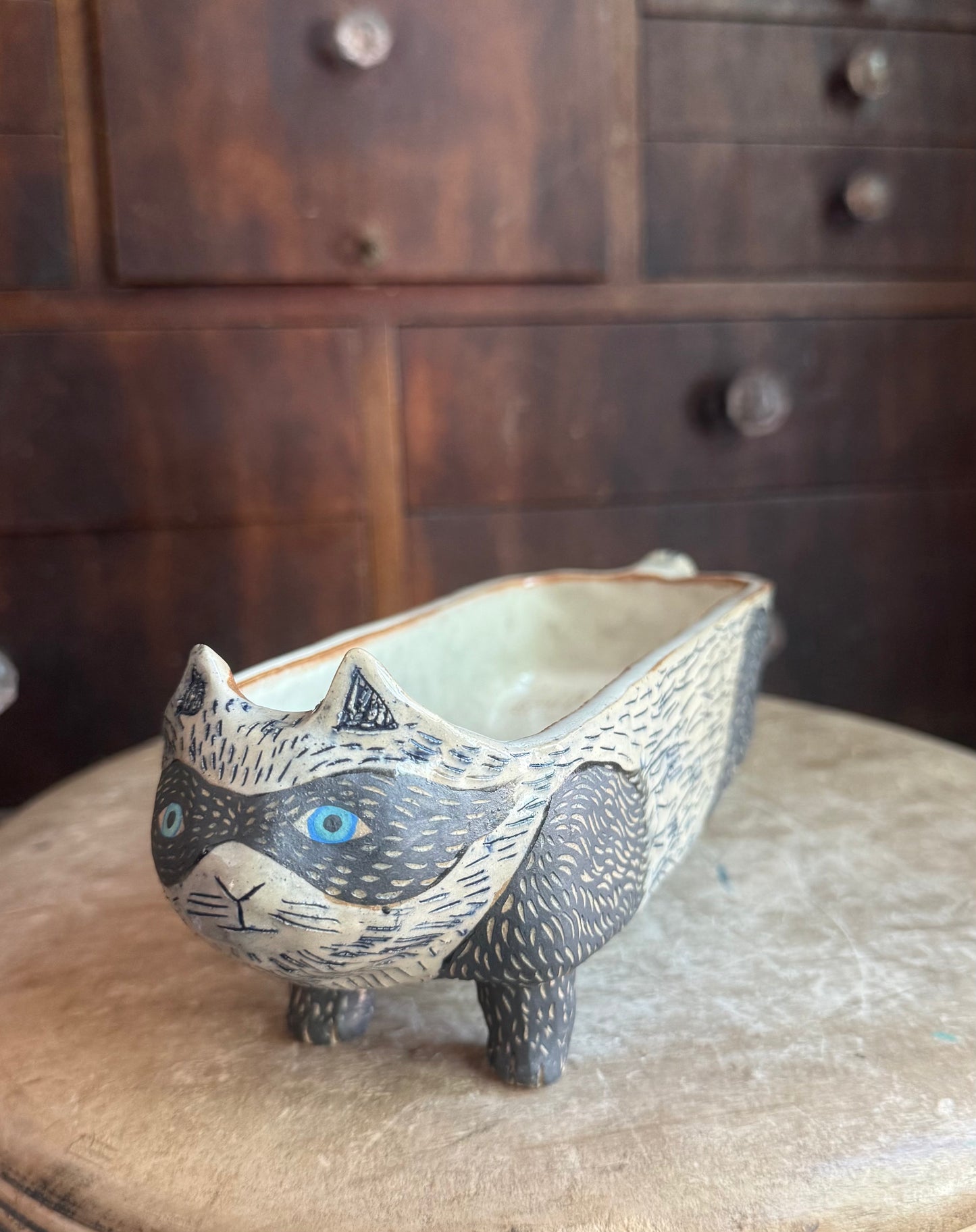 Bandit cat tea bag display