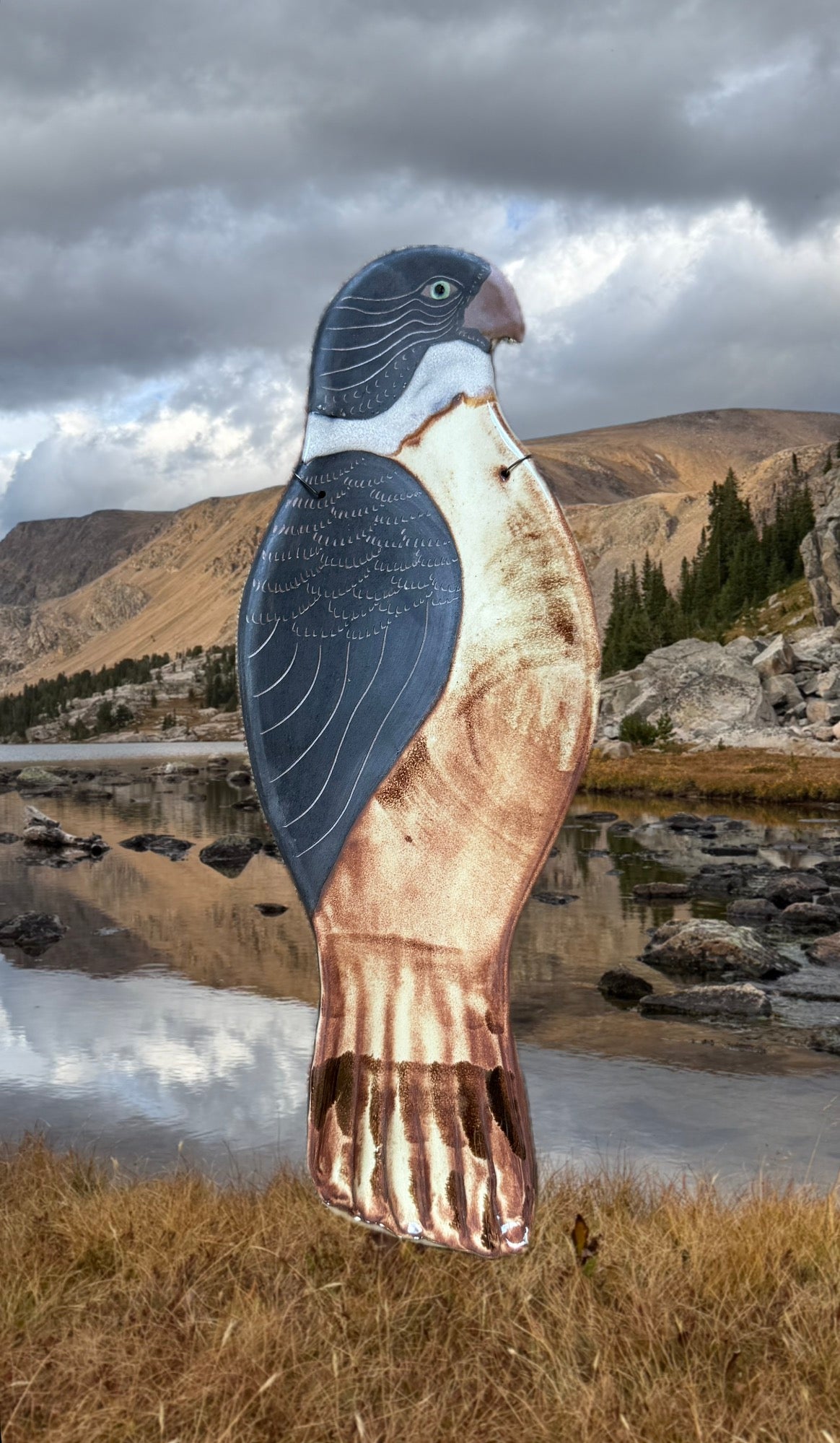 Guardian Hawk