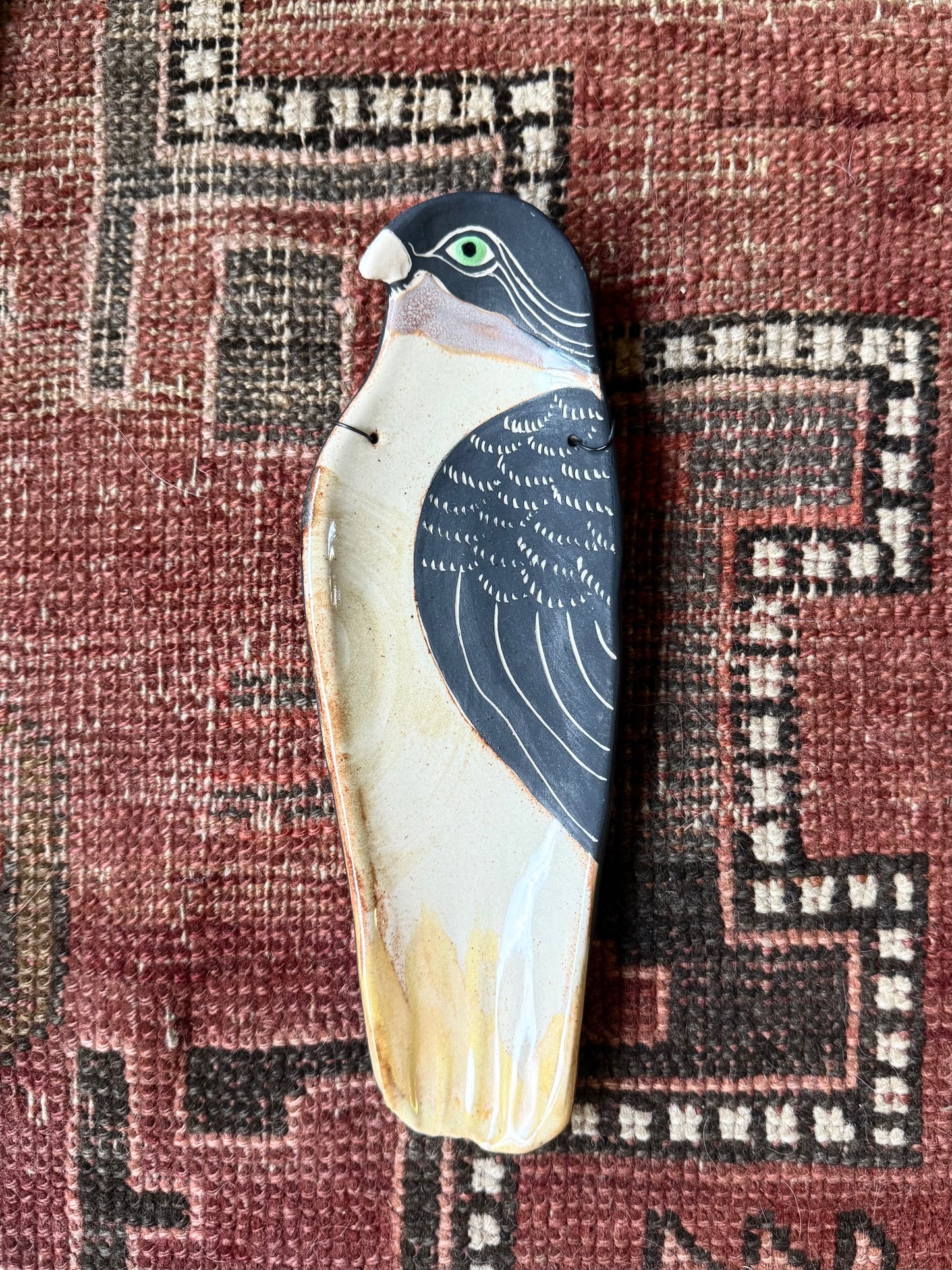 Littlest guardian hawk