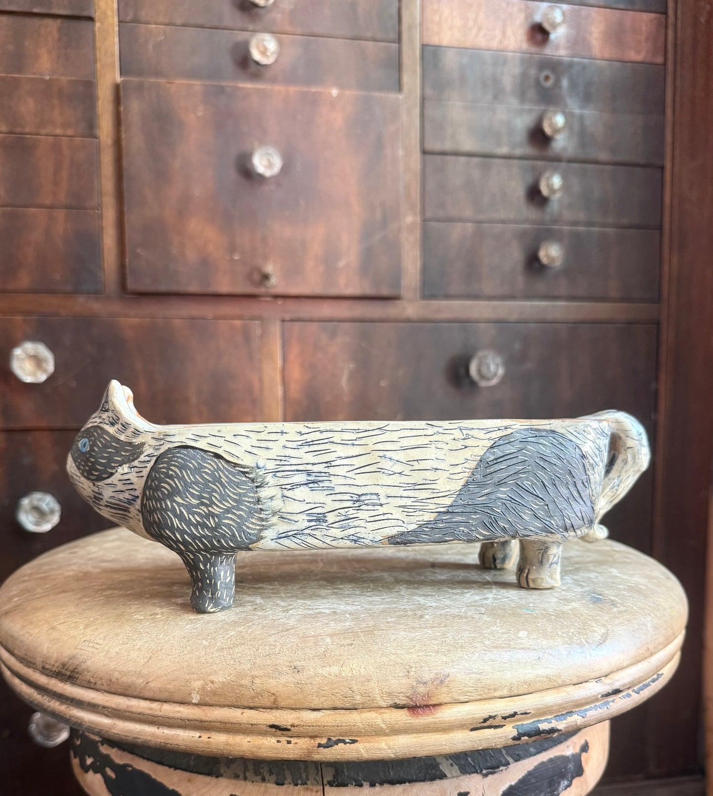 Bandit cat tea bag display